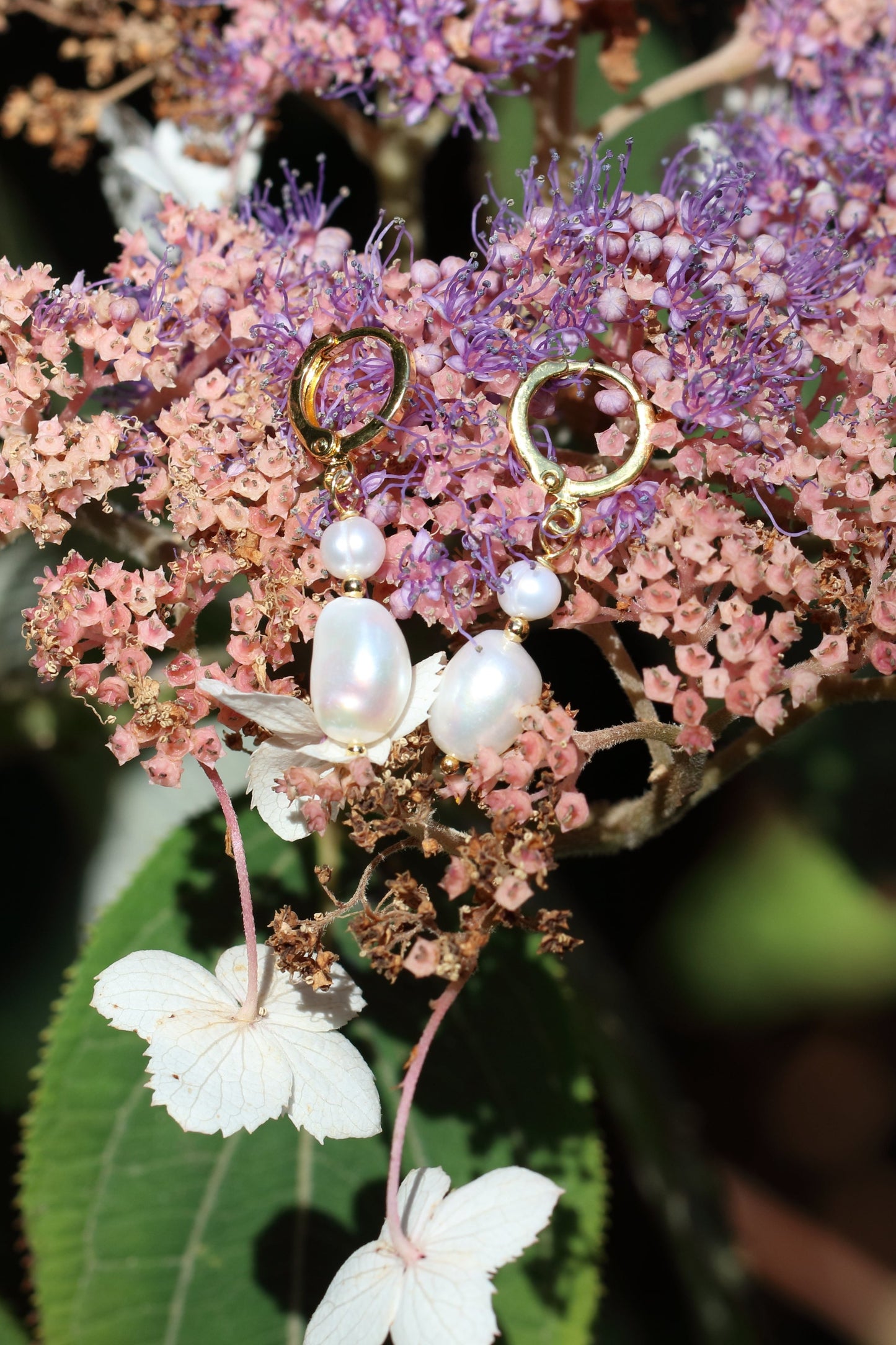 Boucles d'oreilles Iris